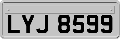 LYJ8599