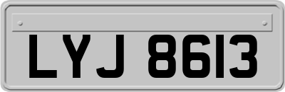 LYJ8613