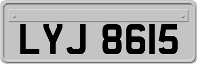 LYJ8615