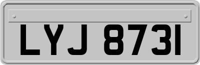 LYJ8731
