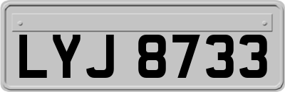LYJ8733