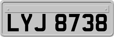 LYJ8738