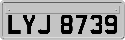 LYJ8739
