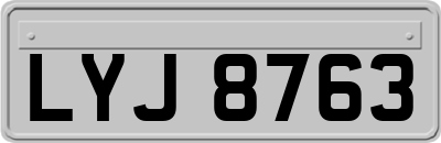 LYJ8763