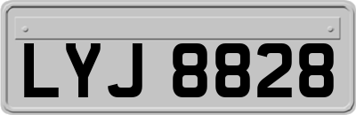 LYJ8828