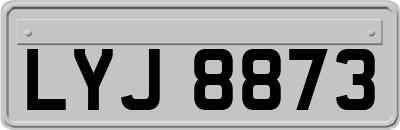 LYJ8873