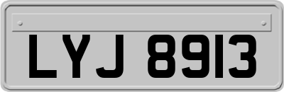 LYJ8913
