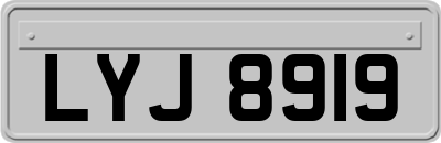 LYJ8919