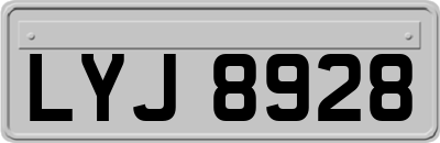LYJ8928