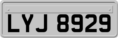 LYJ8929