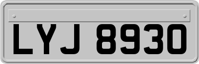 LYJ8930