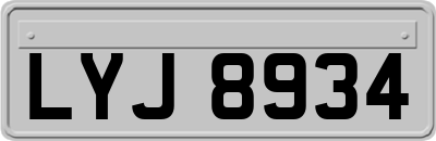 LYJ8934