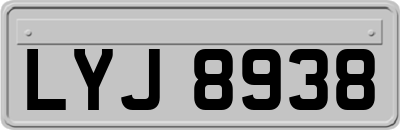 LYJ8938