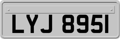 LYJ8951