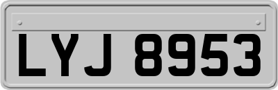 LYJ8953