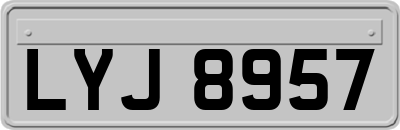 LYJ8957