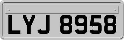 LYJ8958
