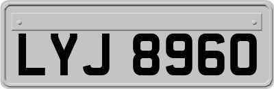 LYJ8960
