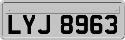 LYJ8963