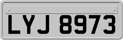 LYJ8973