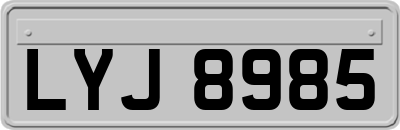 LYJ8985