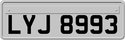 LYJ8993