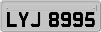LYJ8995