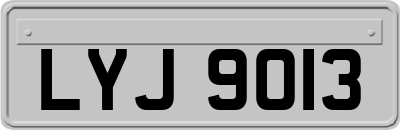 LYJ9013