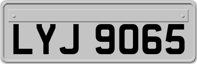 LYJ9065