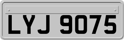 LYJ9075