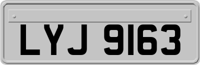 LYJ9163