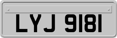 LYJ9181