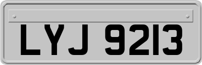 LYJ9213