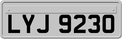LYJ9230