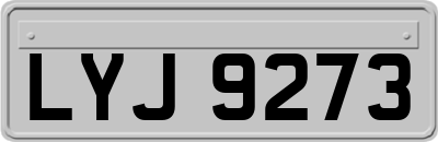 LYJ9273