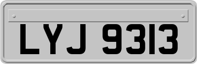 LYJ9313