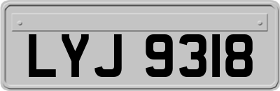LYJ9318