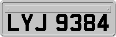 LYJ9384