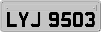 LYJ9503