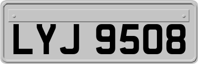 LYJ9508