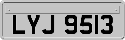 LYJ9513