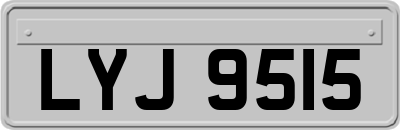 LYJ9515