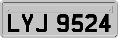 LYJ9524