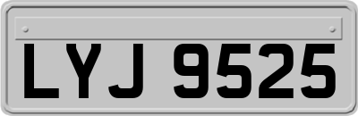 LYJ9525