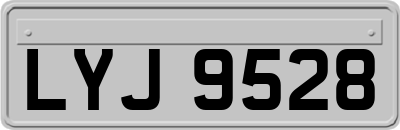 LYJ9528