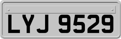 LYJ9529