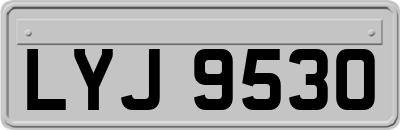 LYJ9530