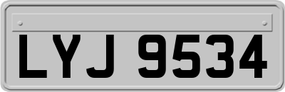 LYJ9534
