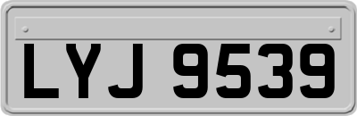 LYJ9539