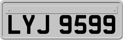 LYJ9599